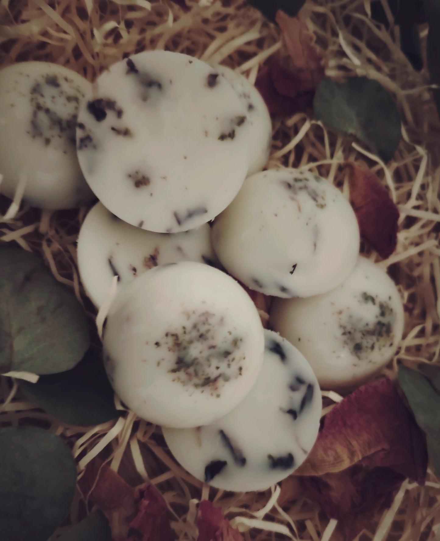 x6 Large Vanilla and Blue Mallow petals, Botanical Wax Melts