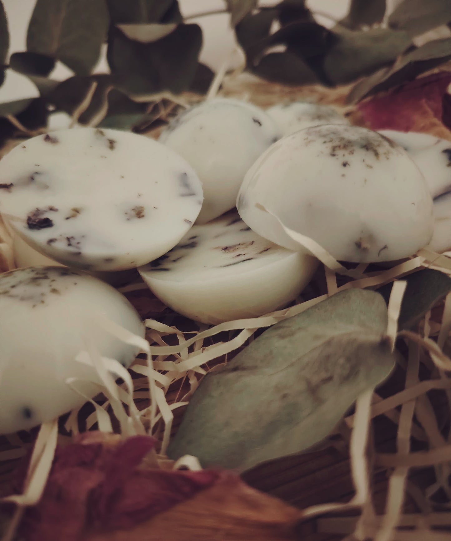 x6 Large Vanilla and Blue Mallow petals, Botanical Wax Melts