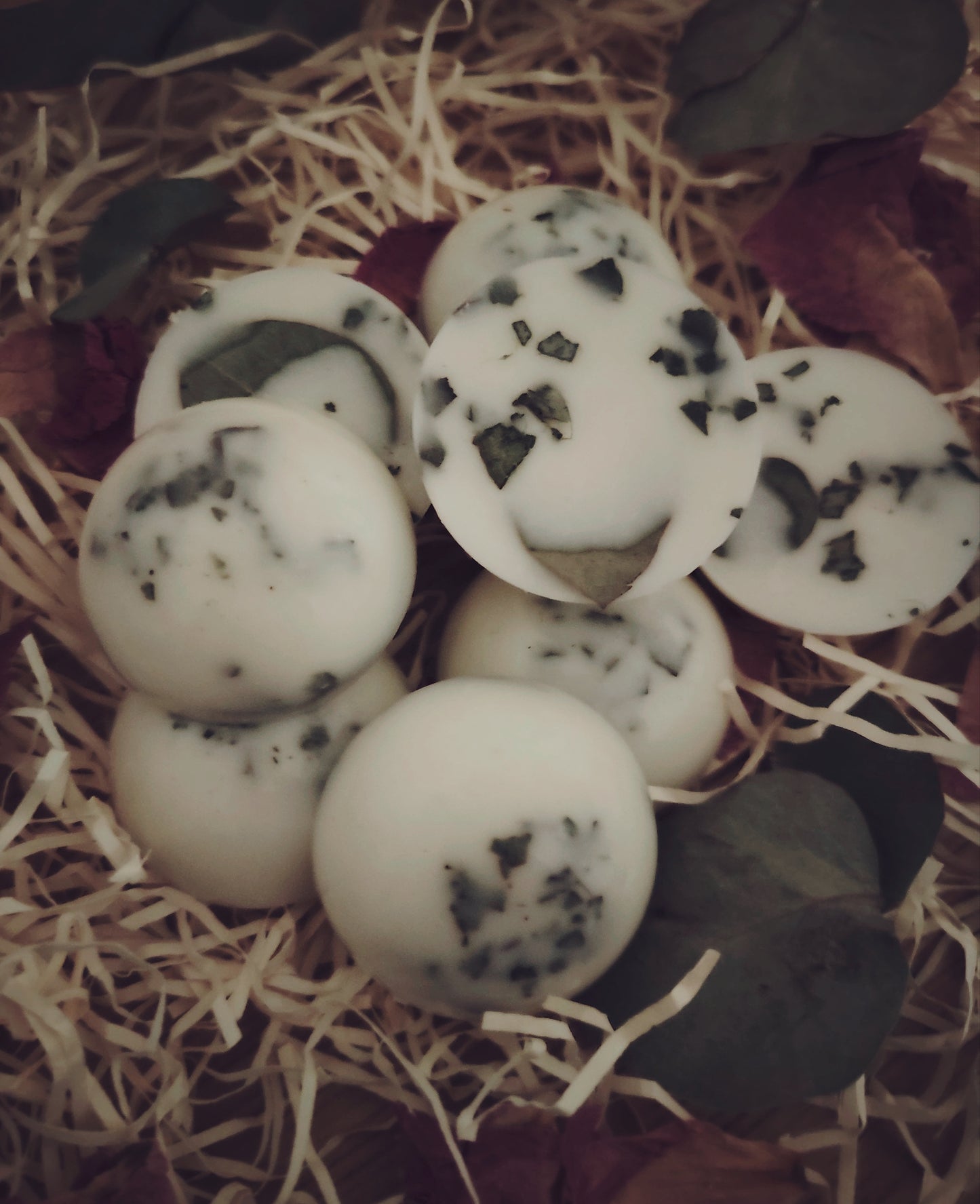x6 Large Eucalyptus Botanical Wax Melts