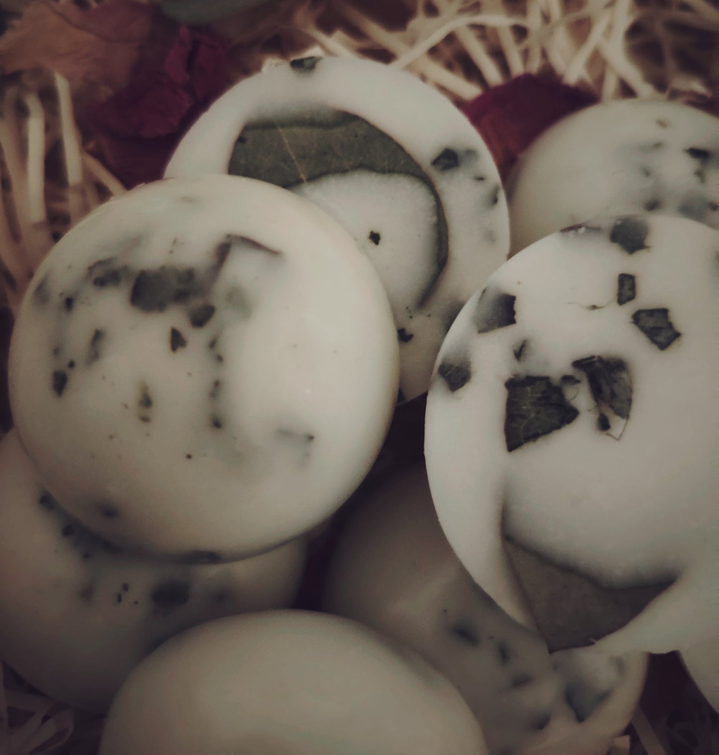 x6 Large Eucalyptus Botanical Wax Melts