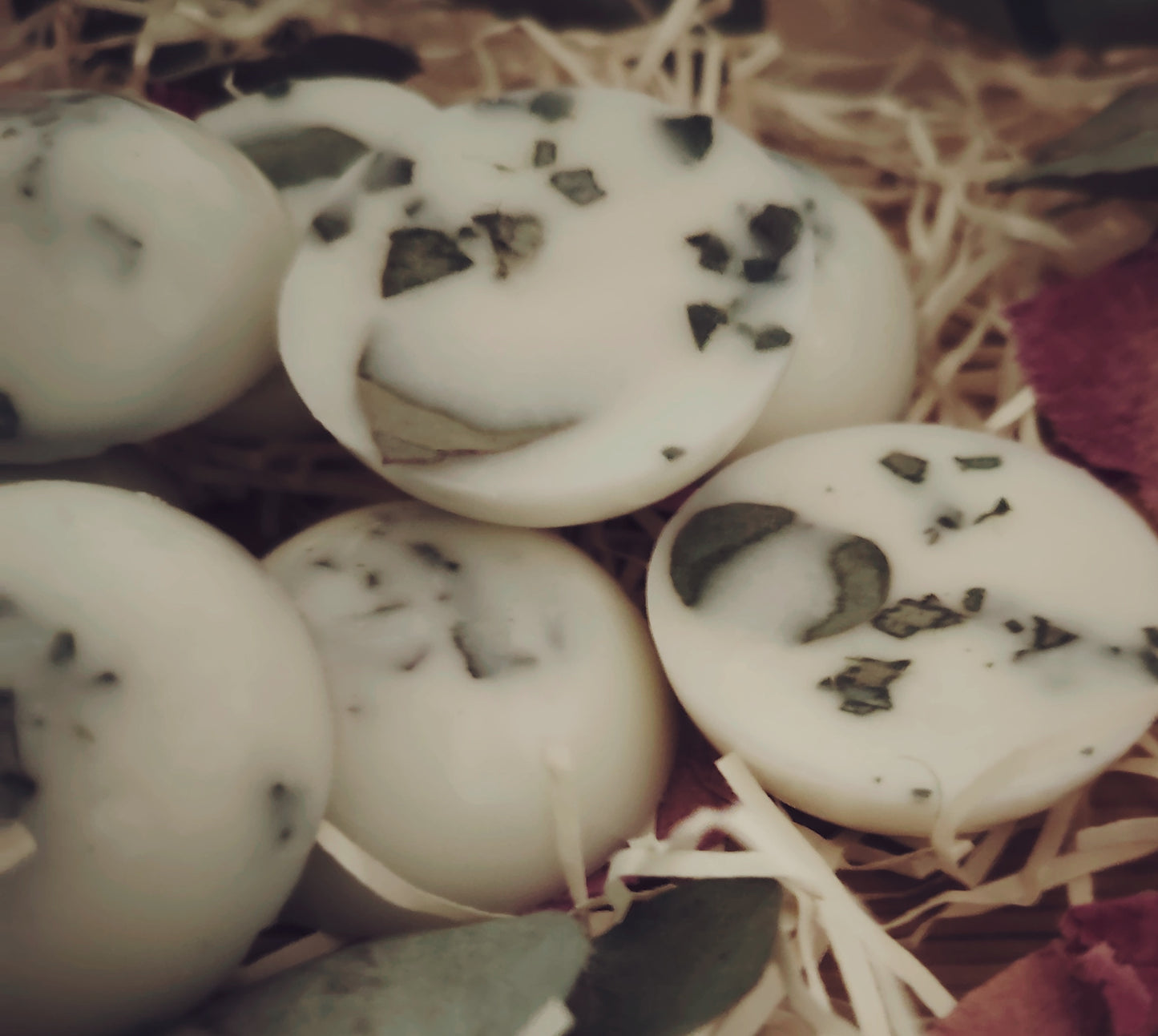 x6 Large Eucalyptus Botanical Wax Melts
