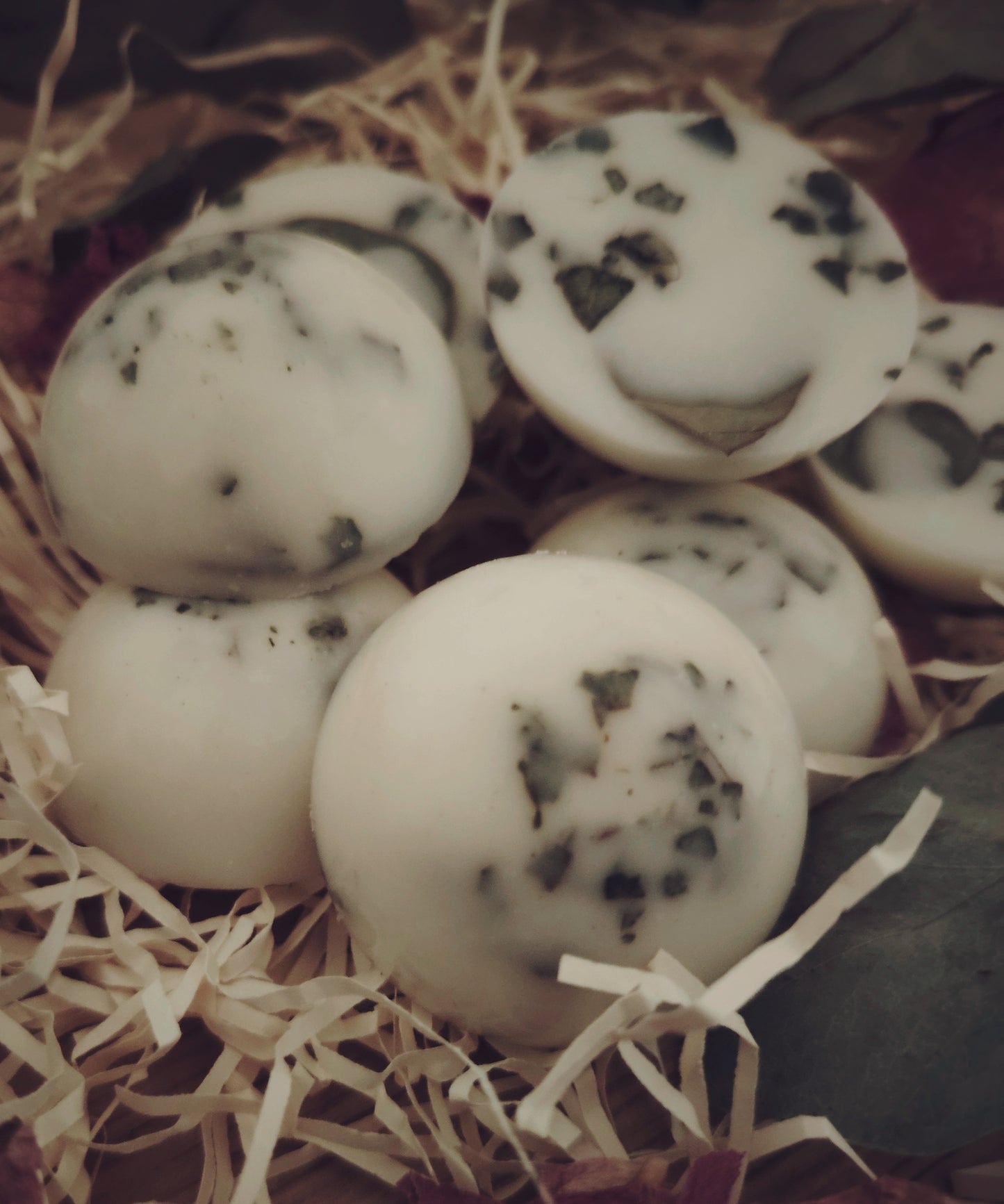 x6 Large Eucalyptus Botanical Wax Melts