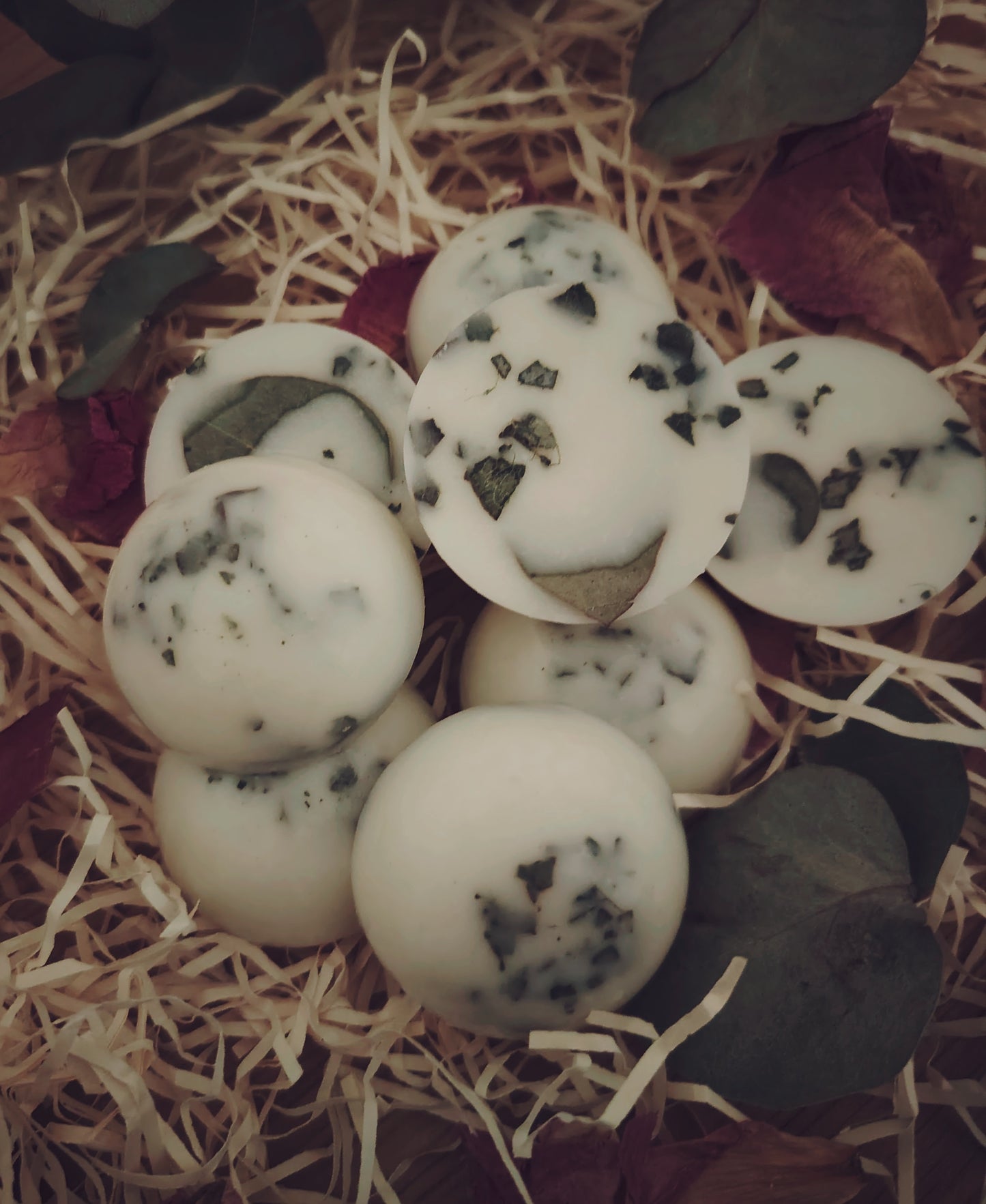 x6 Large Eucalyptus Botanical Wax Melts