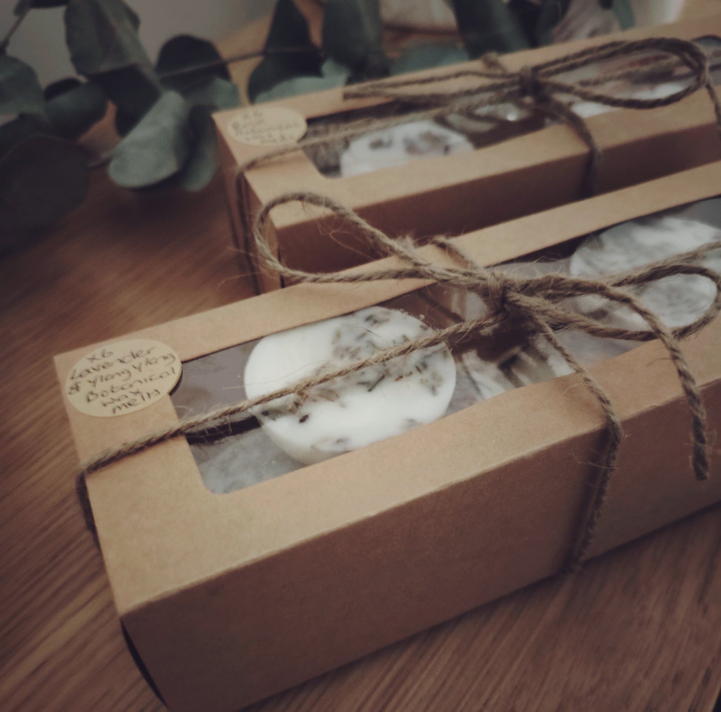 x6 Large Vanilla and Blue Mallow petals, Botanical Wax Melts